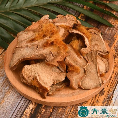 毛狗条根的性味归经以及功效用法-青囊智