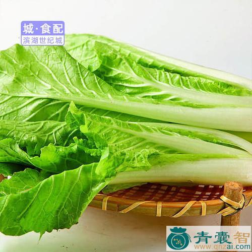 中药材毛白菜图片