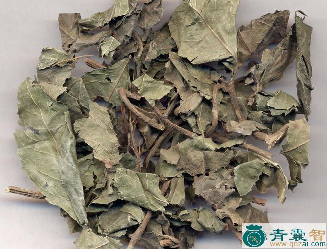 中药材毛矮茶苞图片