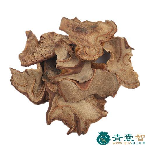 中药材毛脊粱图片