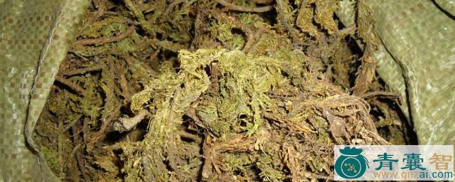 中药材毛膏杠图片