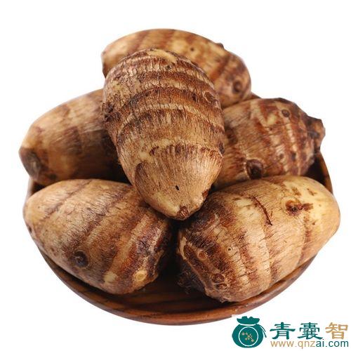 中药材毛芋头图片