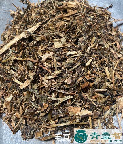 中药材毛茛图片