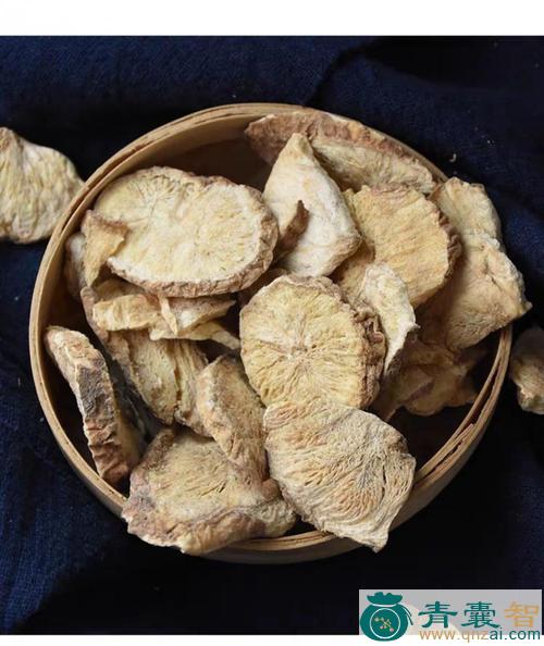 中药材毛菊苣图片