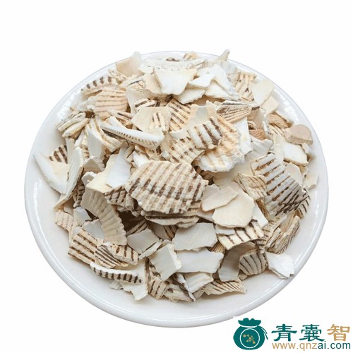 中药材毛蚶皮图片