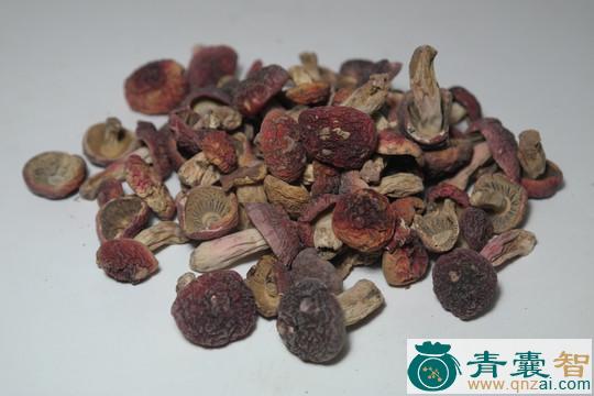 毛赪桐的性味归经以及功效用法-青囊智