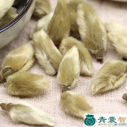 中药材毛辛夷图片