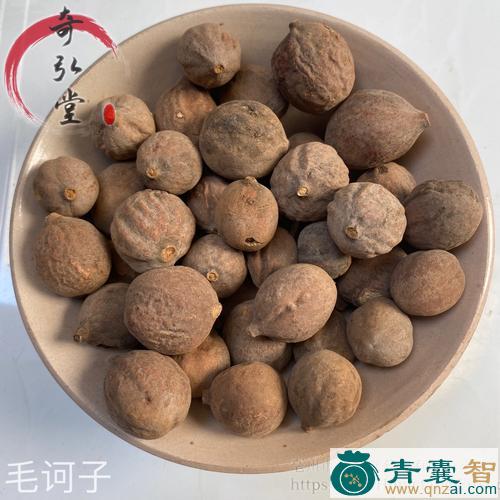 毛锥子的性状性味归经以及功效用法和注意事项-青囊智