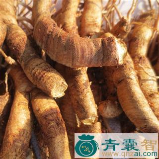 毛雌子的性状性味归经以及功效用法和注意事项-青囊智