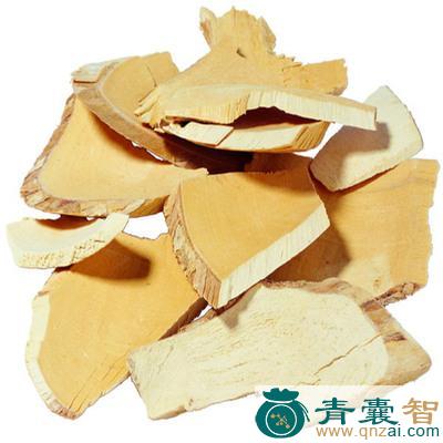 中药材毛青杠图片