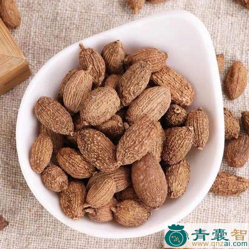 中药材毛黐头婆图片