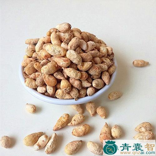 水半夏的性状性味归经以及功效用法和注意事项-青囊智