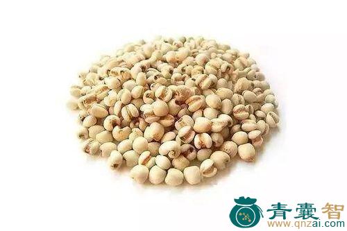 中药材水南瓜图片