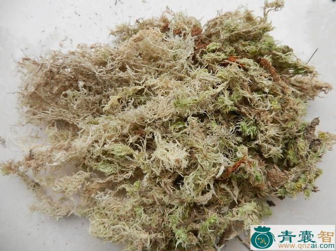 中药材水姜苔图片