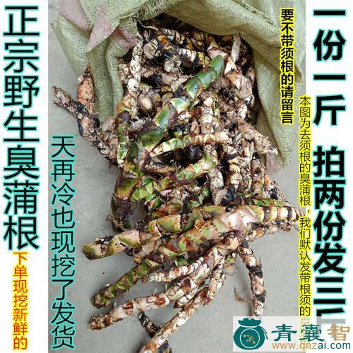 中药材水宿图片