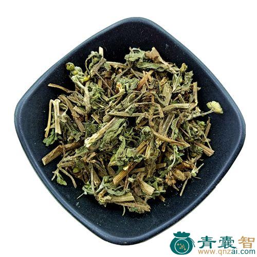 中药材水旱莲图片