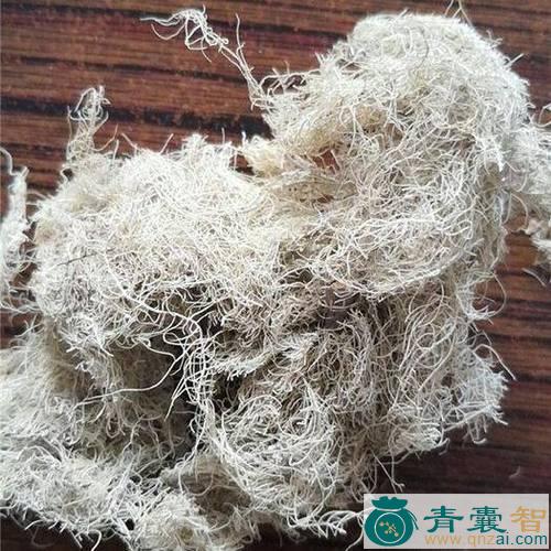 中药材水松萝图片