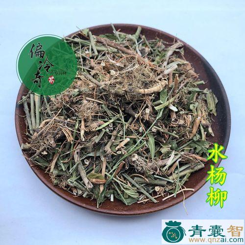 中药材水柳黄图片