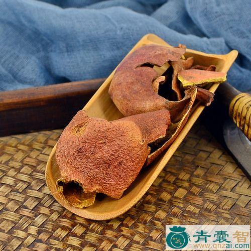 中药材水榴子图片