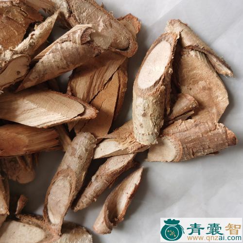 中药材水橄榄根图片