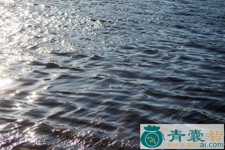 中药材水波浪图片
