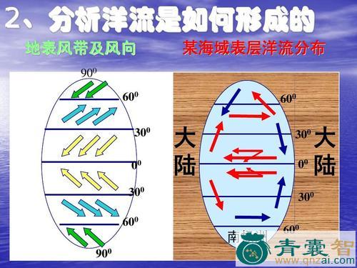 中药材水洋流图片
