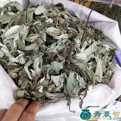 中药材水浮漂图片