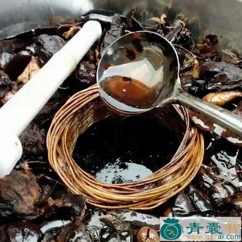 水烂豆的性状性味归经以及功效用法-青囊智