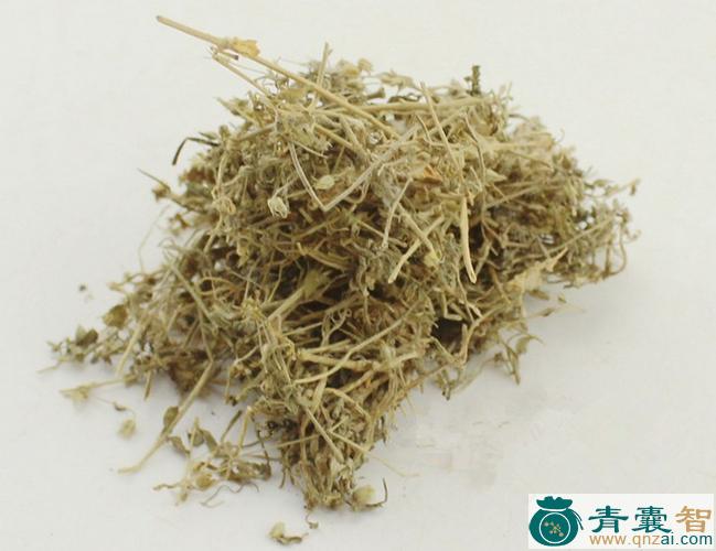 中药材水米草图片