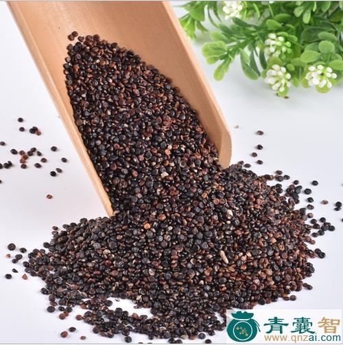 中药材水红子图片