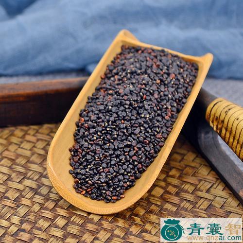 中药材水红花子图片