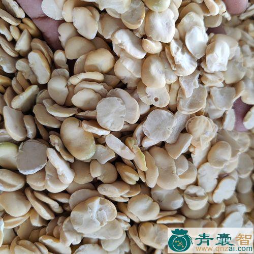 中药材水胡豆图片