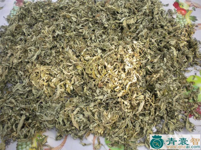 中药材水臭草图片