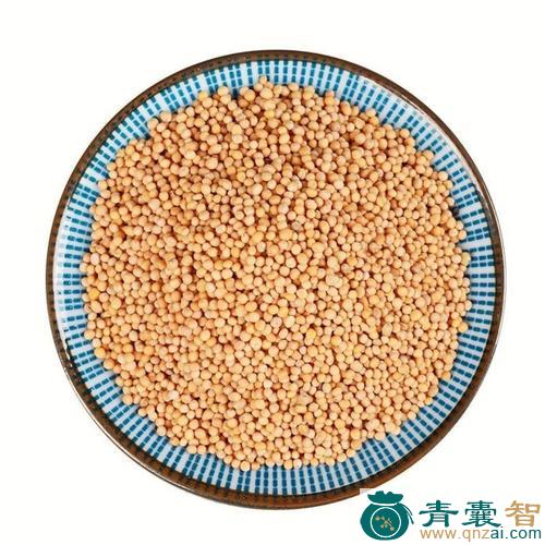 水芥子的性味归经以及功效用法-青囊智