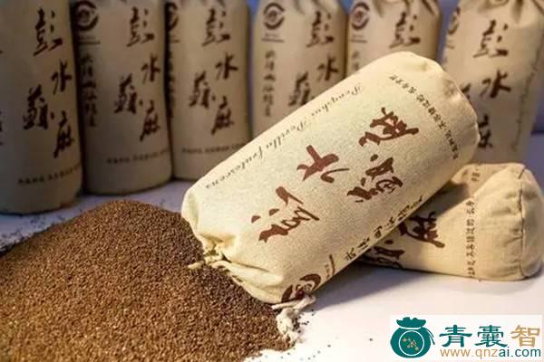 中药材水苏麻图片