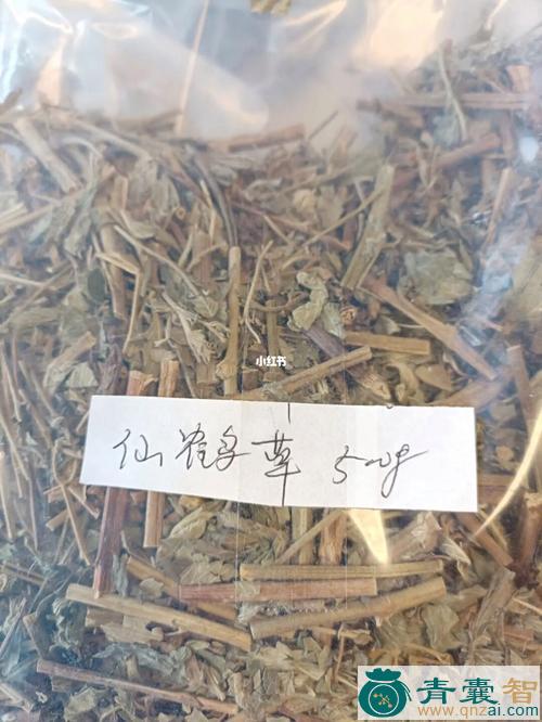中药材水荷兰图片
