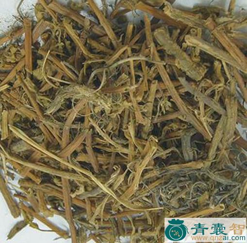 中药材水菜岳图片