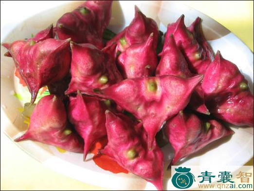 中药材水菱角图片