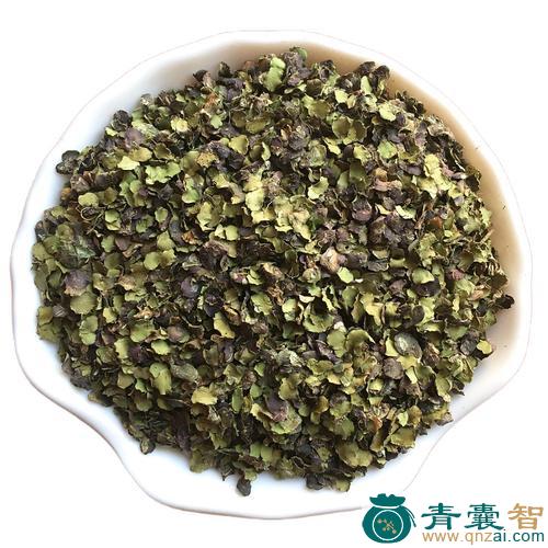 中药材水萍草图片