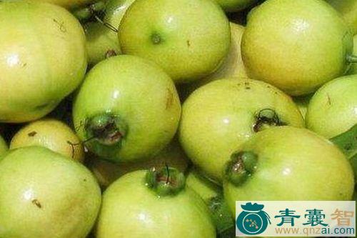 中药材水葡萄图片
