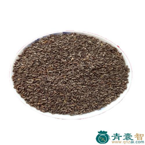 中药材水蓬稞图片