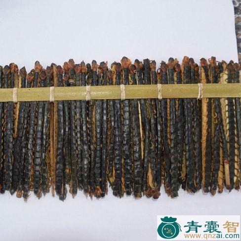 中药材水蜈蚣图片