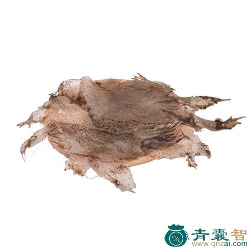 水衣的性状性味归经以及功效用法和注意事项-青囊智