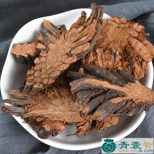 中药材水贯众图片