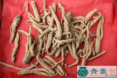 中药材水防风图片