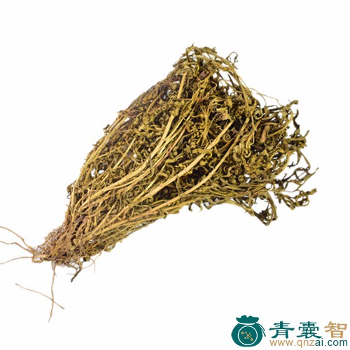 中药材水青草图片