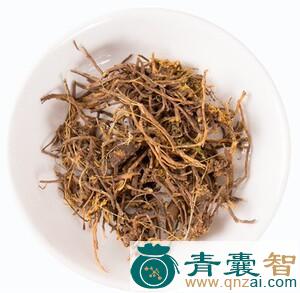 中药材水马尾图片