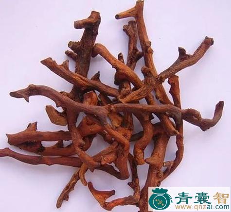 水龙的性状性味归经以及功效用法-青囊智