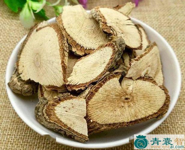 中药材汉桃叶图片