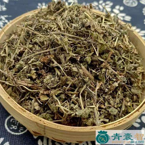 中药材汤湿草图片